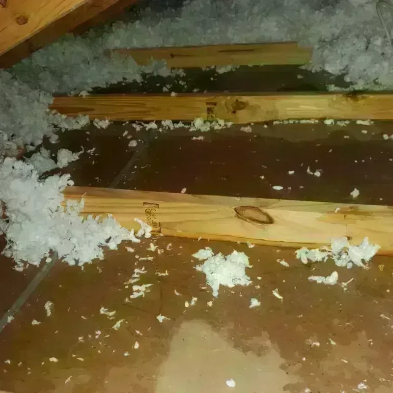 Attic Water Damage in Union, MO